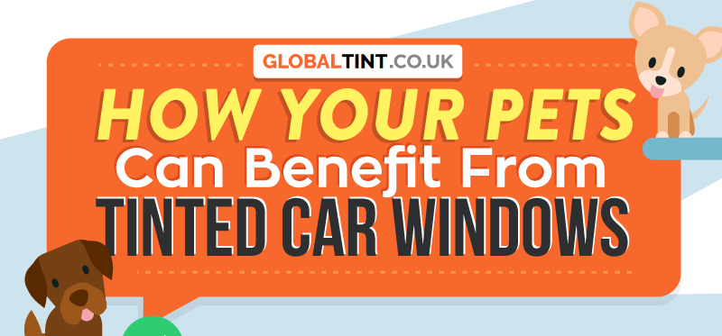 How Your Pets Can Benefit From Tinted Car Windows