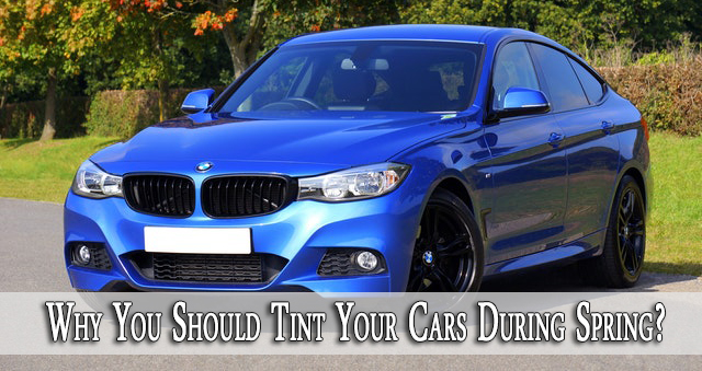 Why You Should Tint Your Cars During Spring?