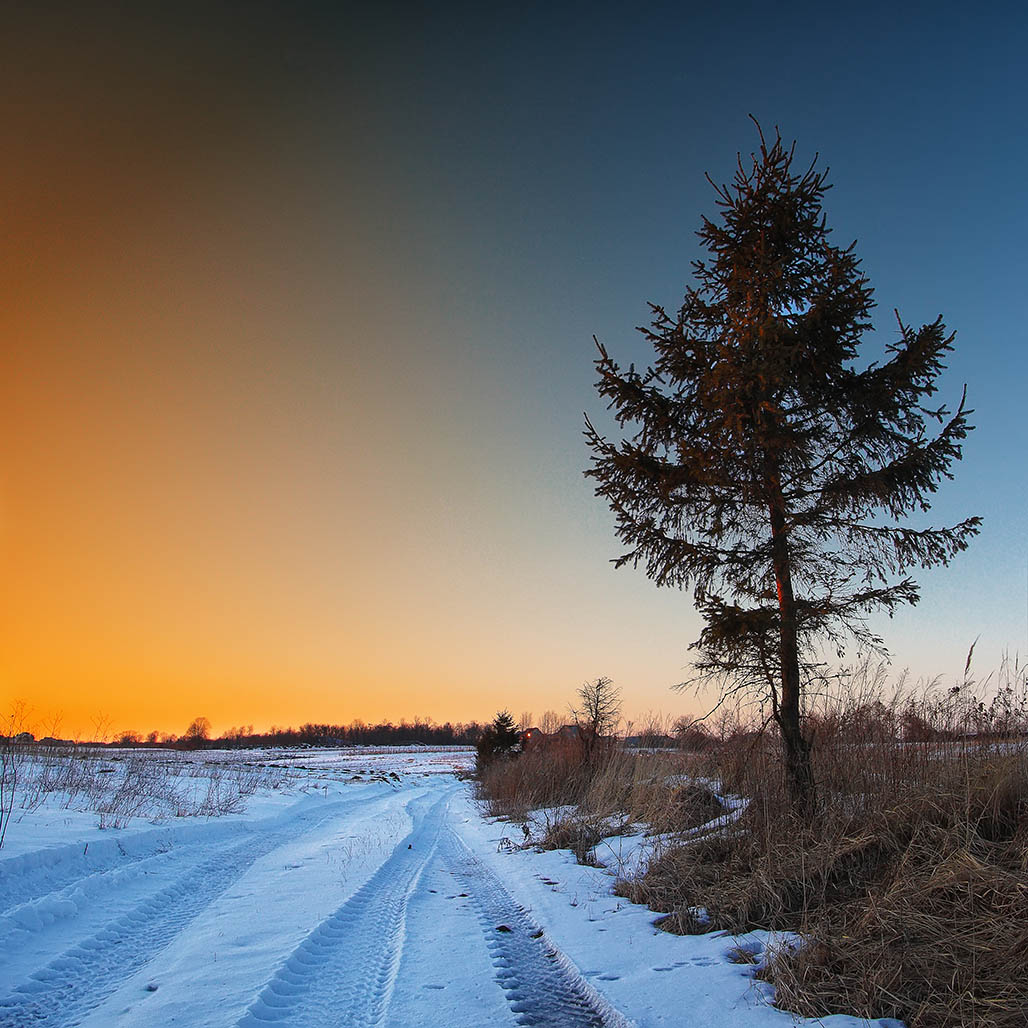The Best Season for Tinting