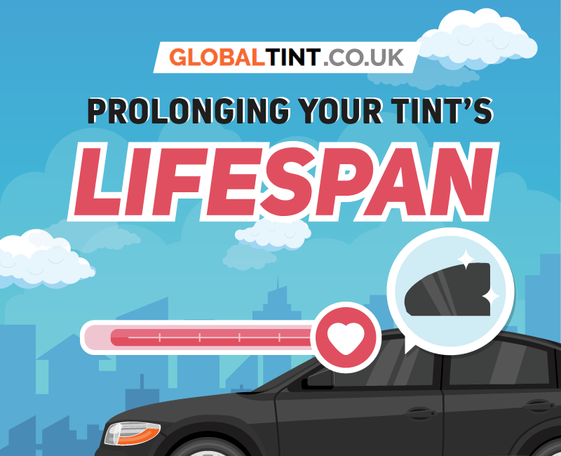Prolonging Your Tint’s Lifespan (Infographic)