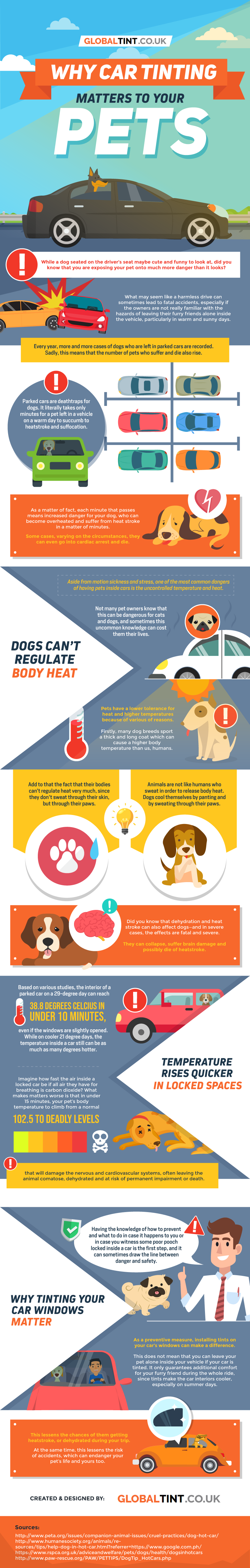 Why car tinting matters to your pets