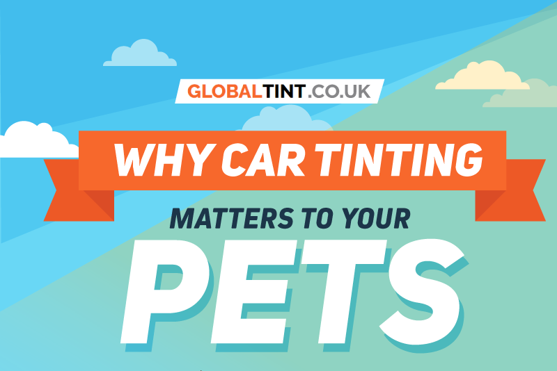 Why car tinting matters to your pets (Infographic)