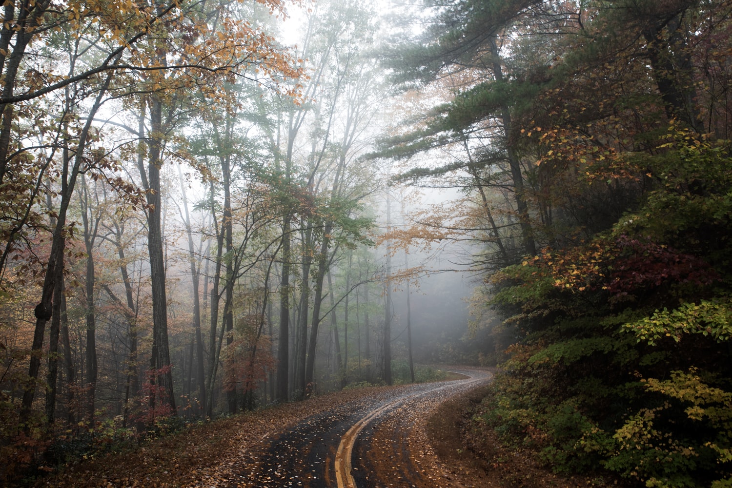 5 Autumn Driving Safety Tips