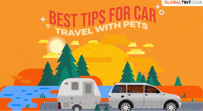 Best Tips for Car Travel with Pets (Infographic)