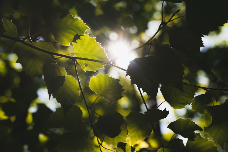 5 Ways to Protect Yourself from UV Rays (Infographic)