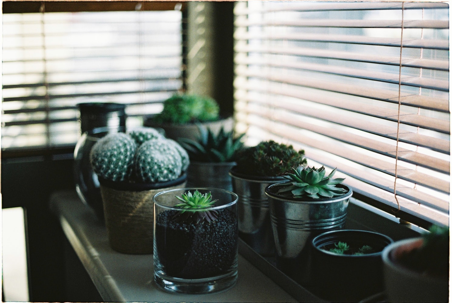 What You Can Add on Your Windows