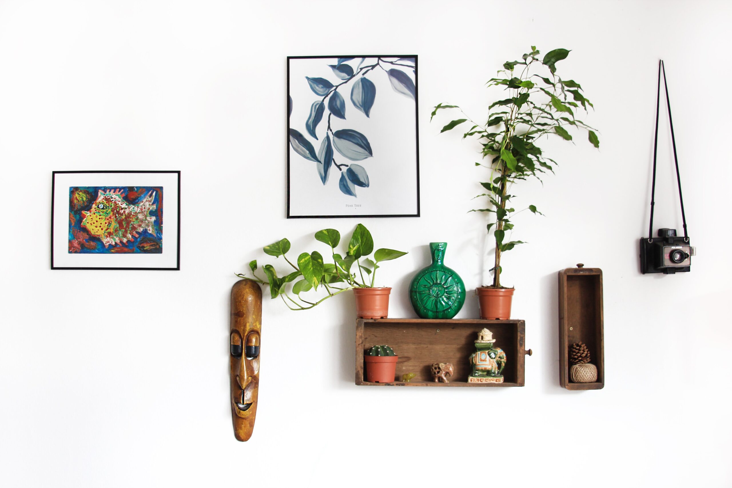 Tint Designs for Home Décor