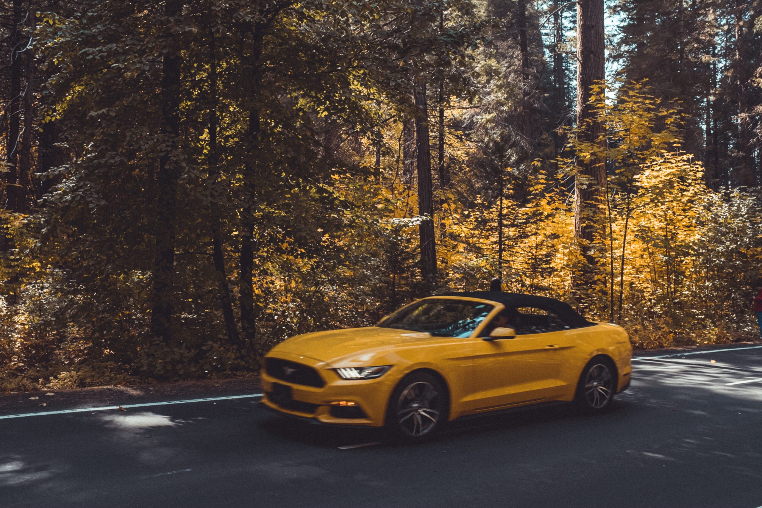 How to Give New Life to Your Used Car?