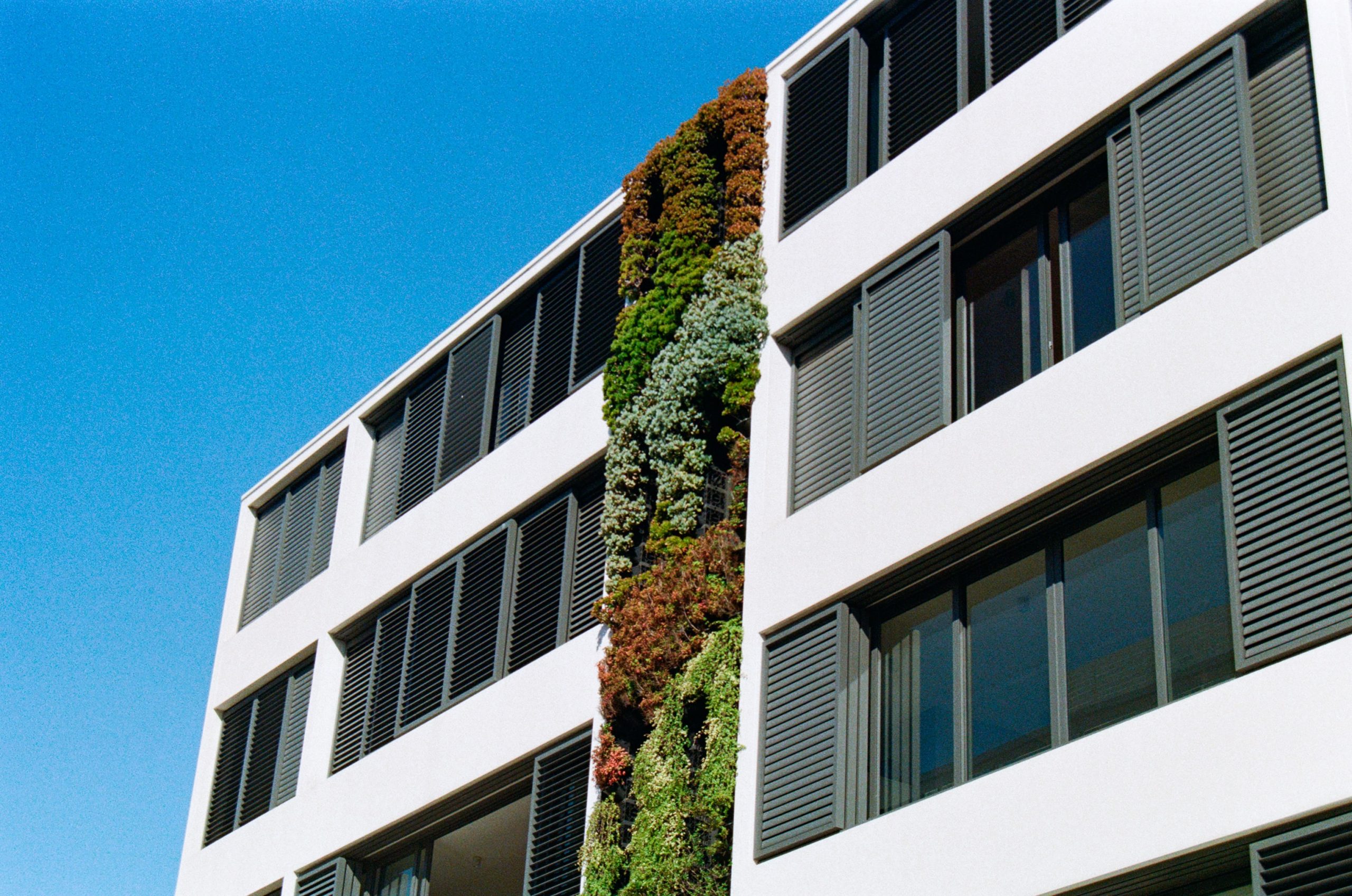 5 Factors Influencing the Longevity of Window Films