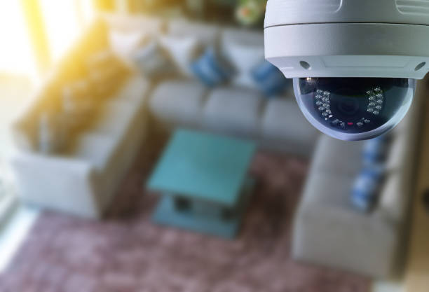 Home Security Essentials You Can Consider to Avoid Damages and Thefts