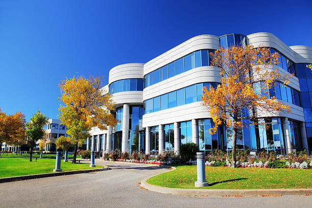 Cost-Efficiency and ROI: Why Invest in Commercial Window Tinting
