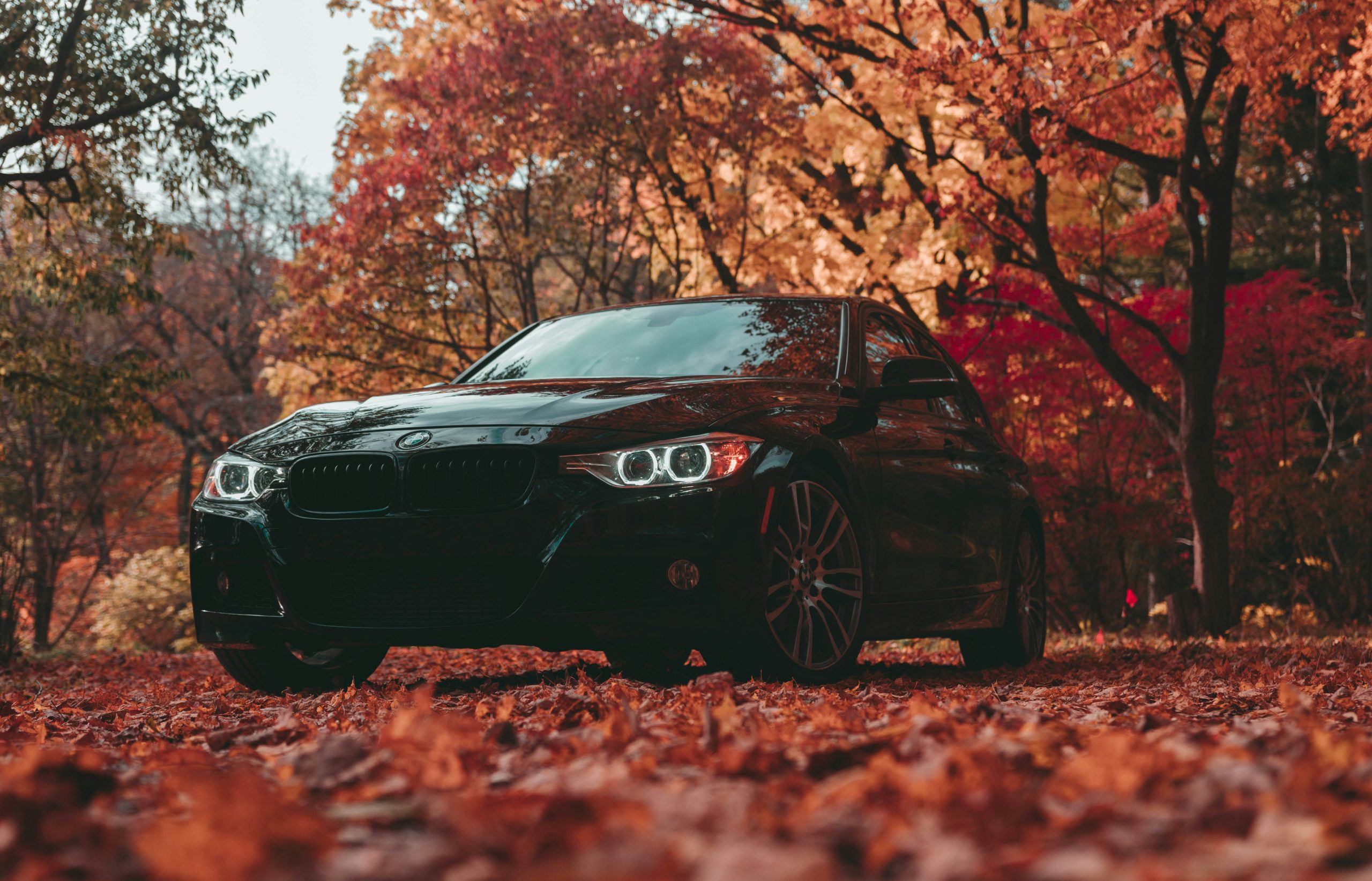 Performance Perks: Can Window Tinting Improve Your Car’s Performance?