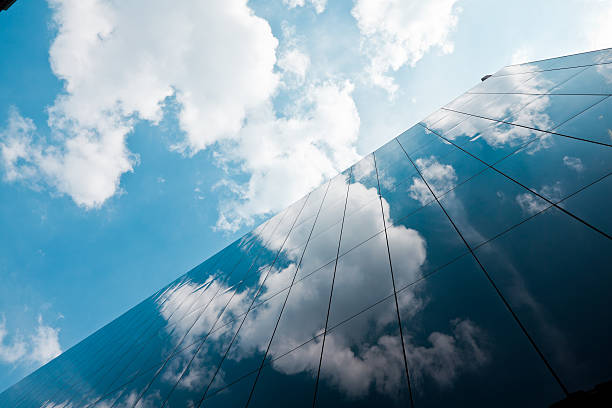 Why Window Tinting Works on Every Type of Window