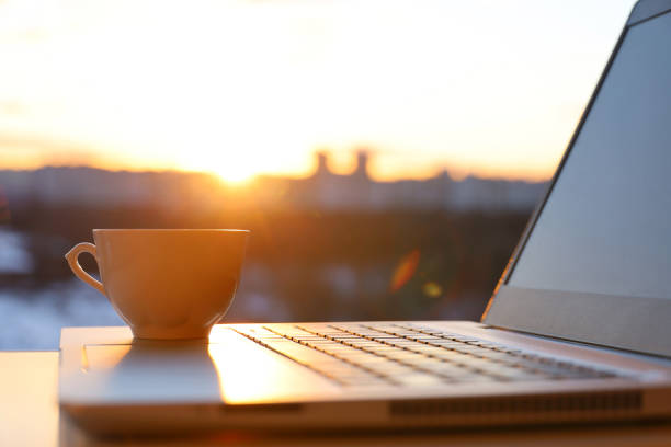 How to Stop the “Low Winter Sun” Glare in Your Home Office