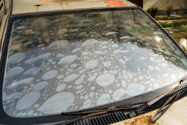Why Some Tints Bubble and Peel Faster Than Others