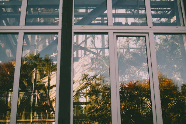 How Window Tints Prevent Your Conservatory from Turning into a Greenhouse