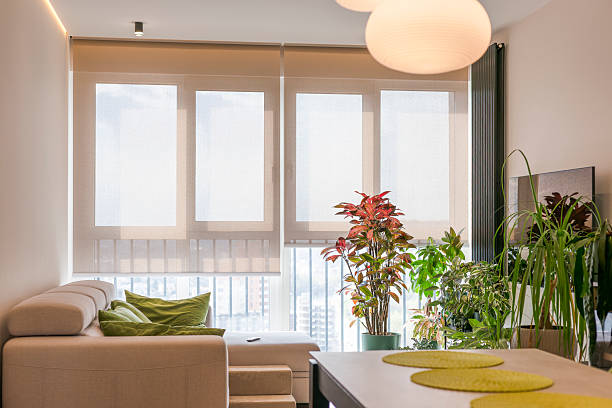 Why Homeowners are Pairing Residential Window Tinting with Smart Home Upgrades